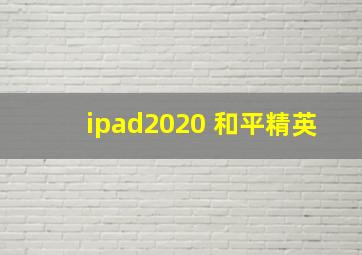 ipad2020 和平精英